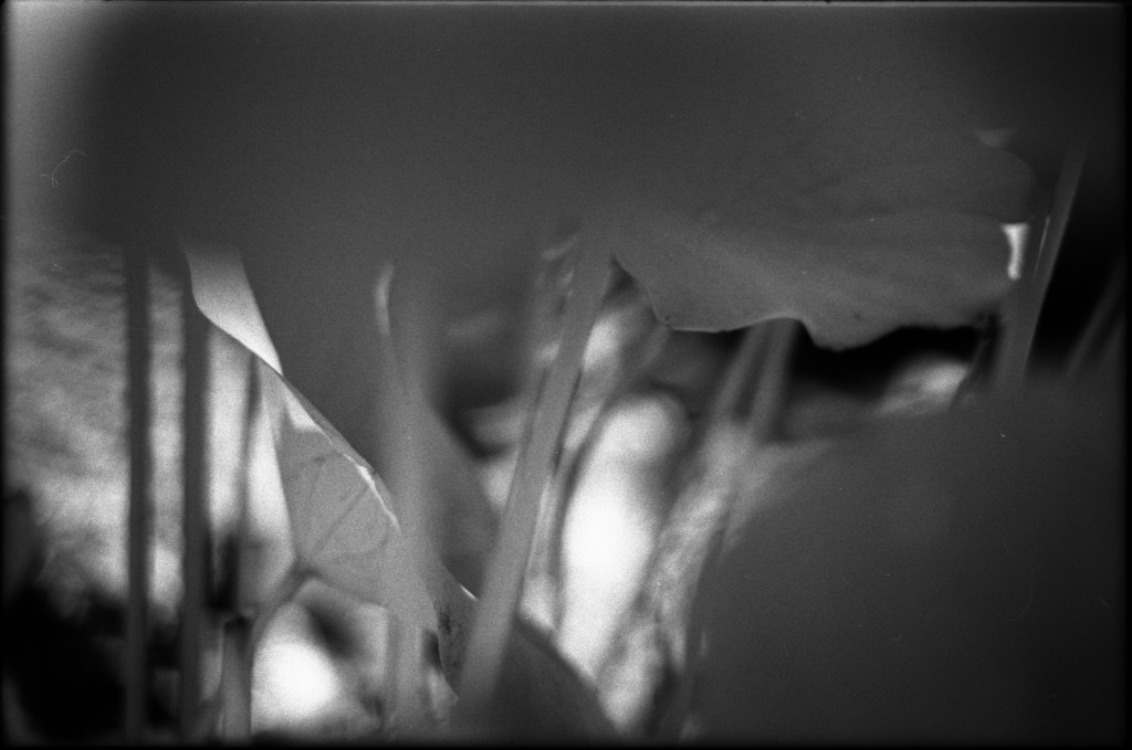 1-140817SP-retro80-013