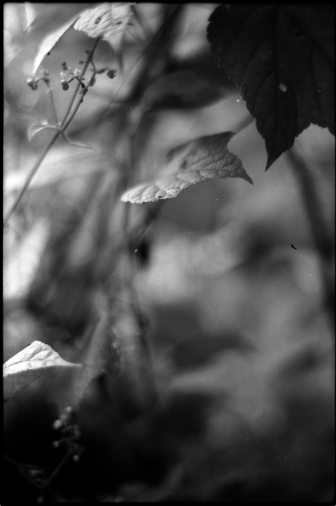 1-141012SP-retro80-003