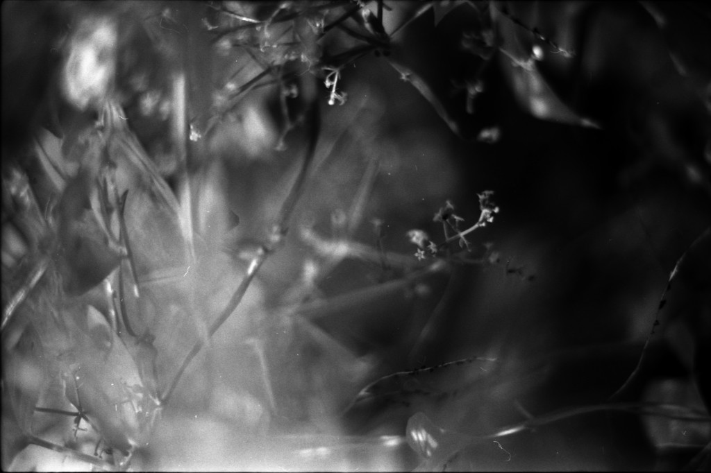 1-141012SP-retro80-005