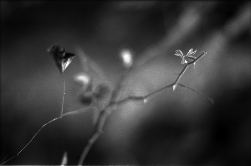 1-141012SP-retro80-012