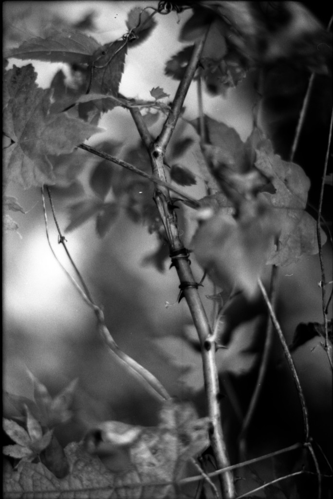 1-141012SP-retro80-013