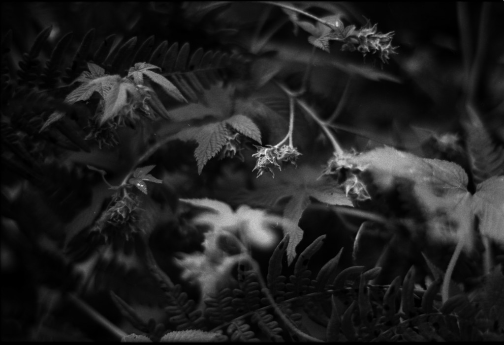 1-141012SP-retro80-015