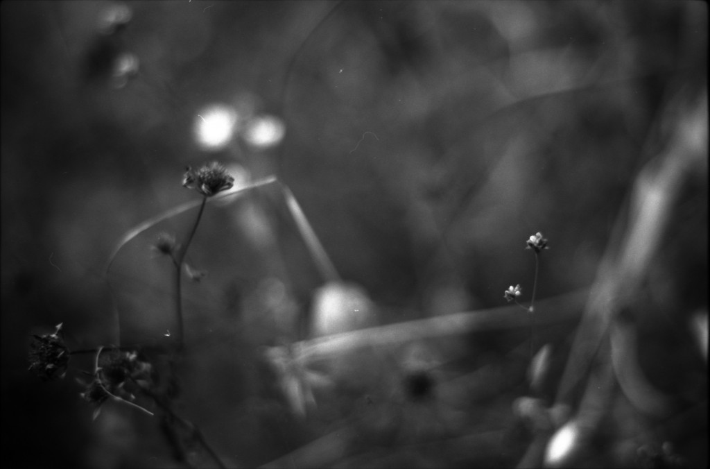 1-141012SP-retro80-016