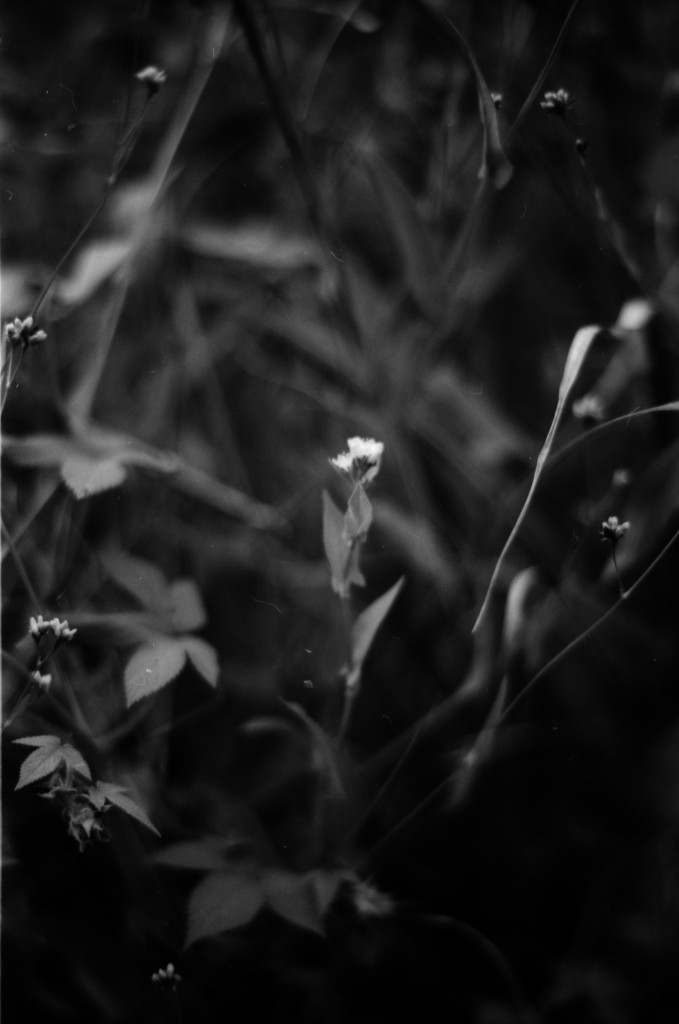 1-141012SP-retro80-018