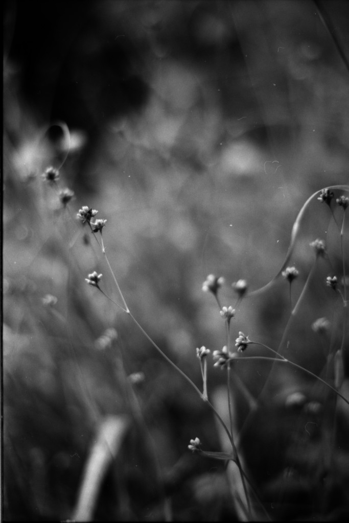 1-141012SP-retro80-019