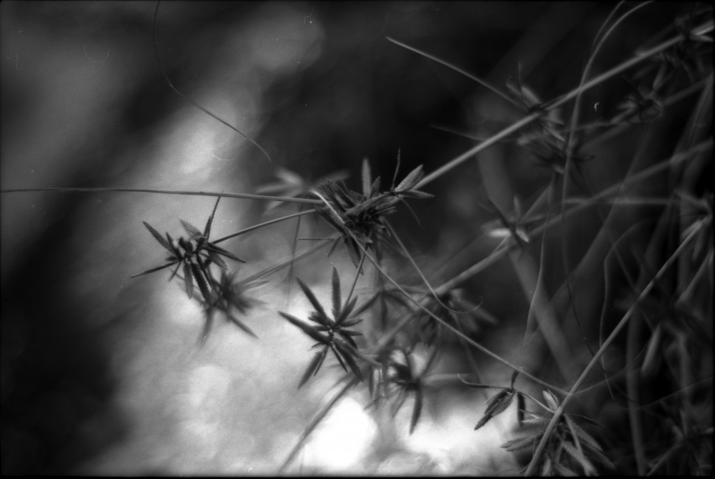 1-141012SP-retro80-020