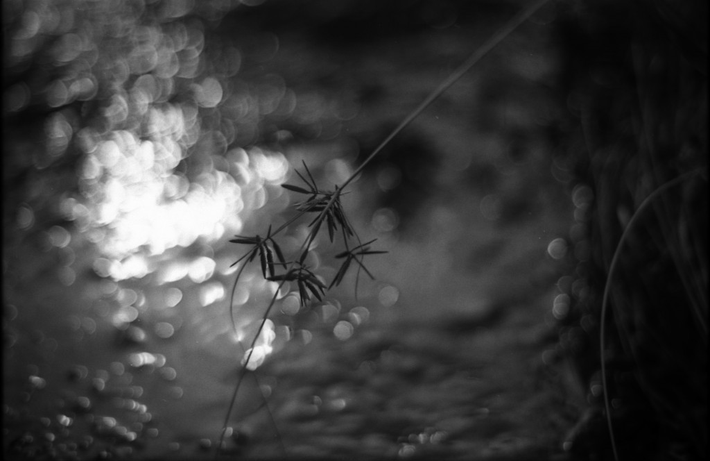 1-141012SP-retro80-022