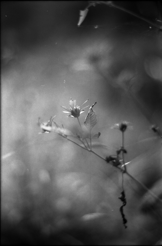 1-141012SP-retro80-025