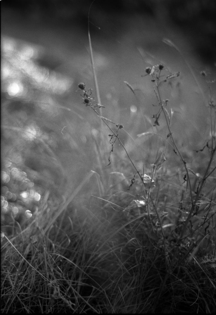 1-141012SP-retro80-026