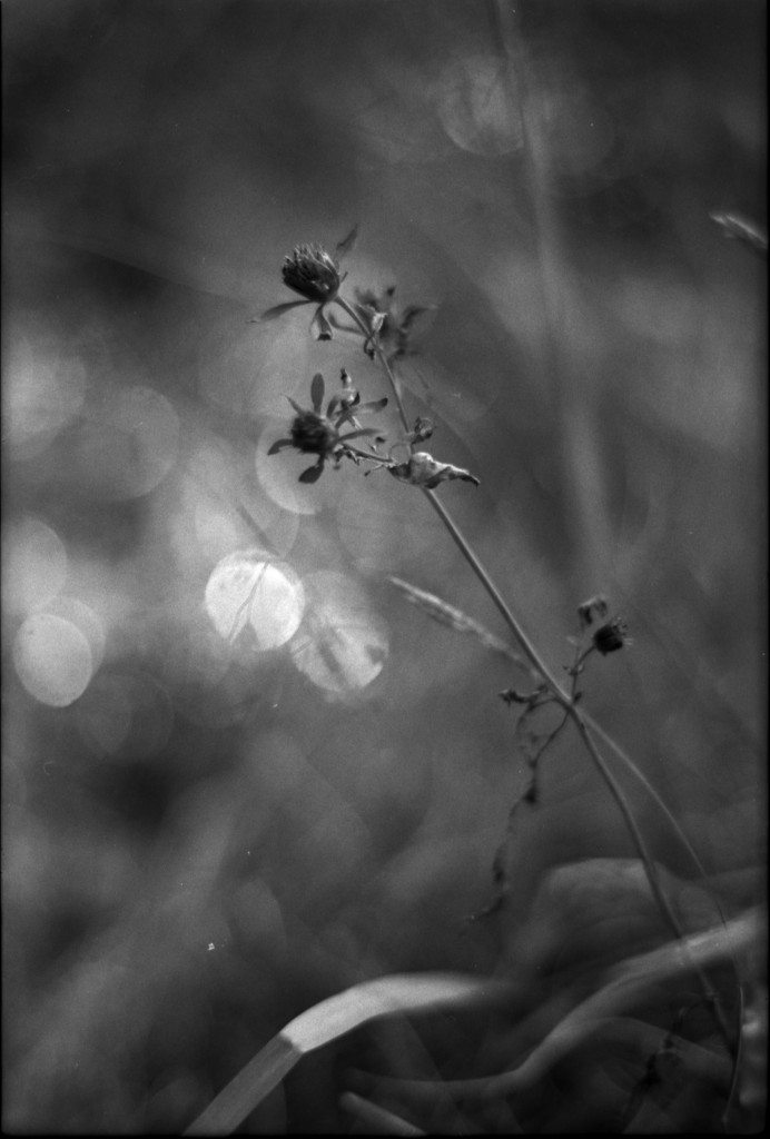 1-141012SP-retro80-027