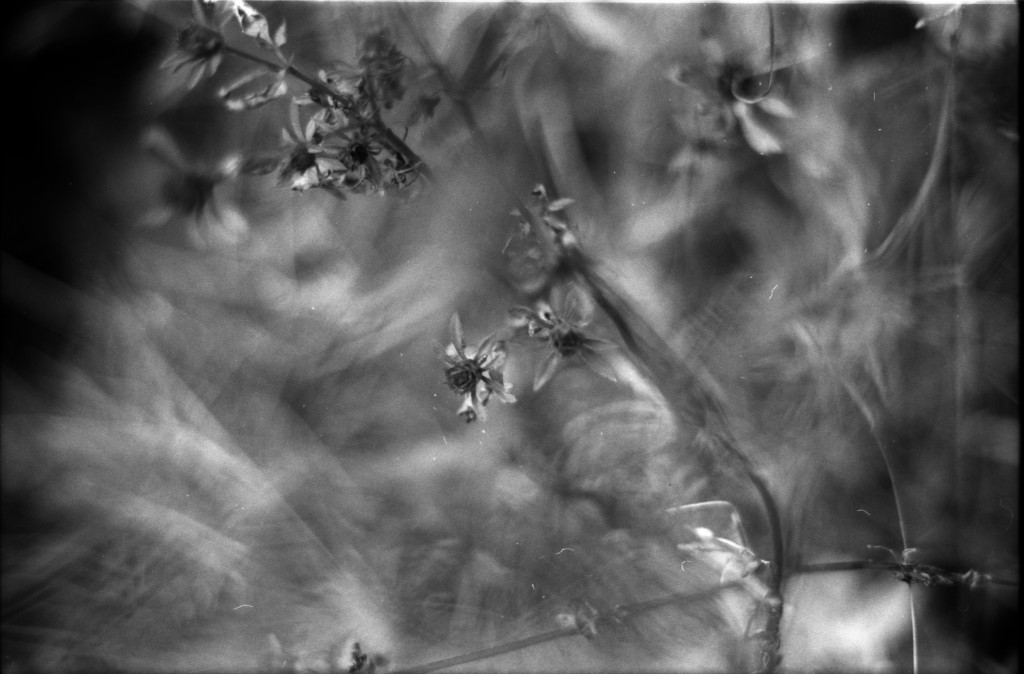 1-141012SP-retro80-029