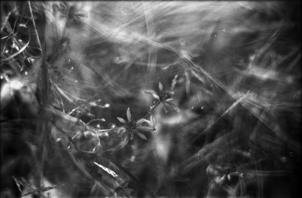 1-141012SP-retro80-030