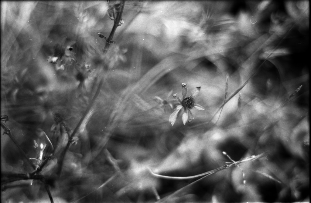 1-141012SP-retro80-031