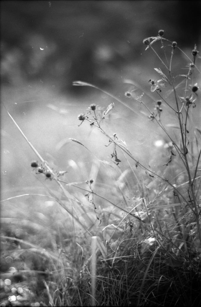 1-141012SP-retro80-032