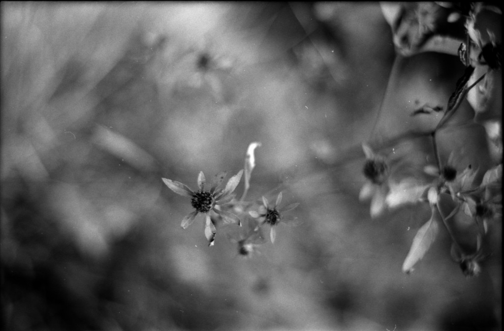 1-141012SP-retro80-034