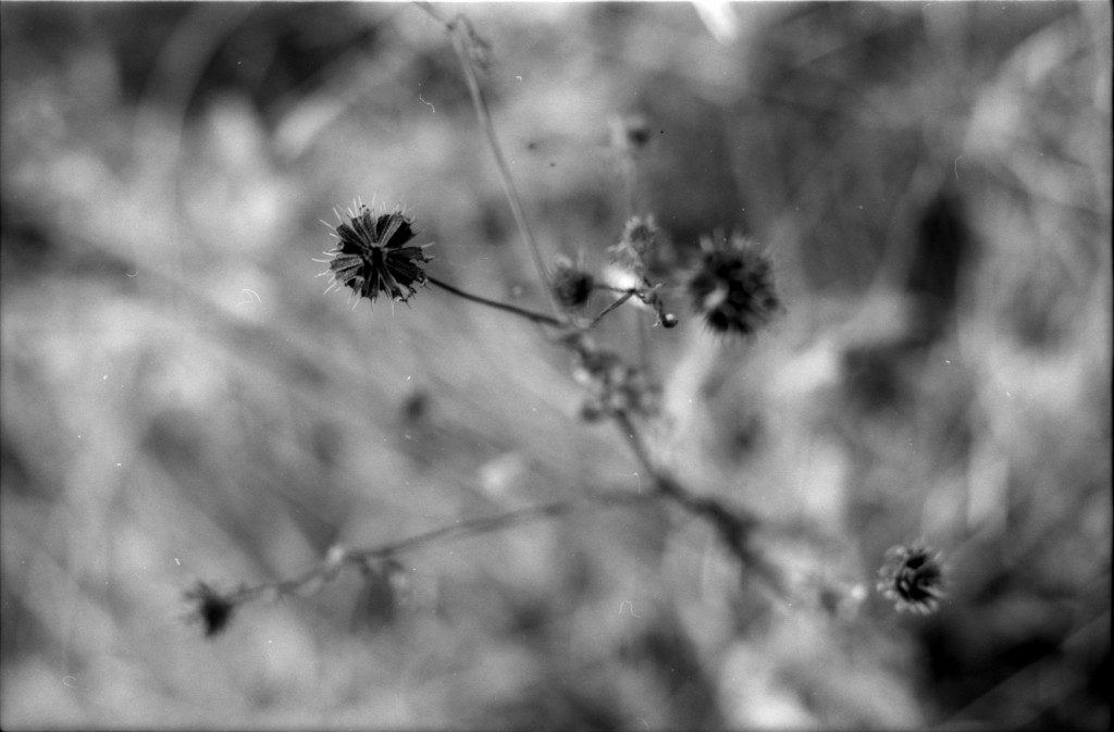 1-141012SP-retro80-035