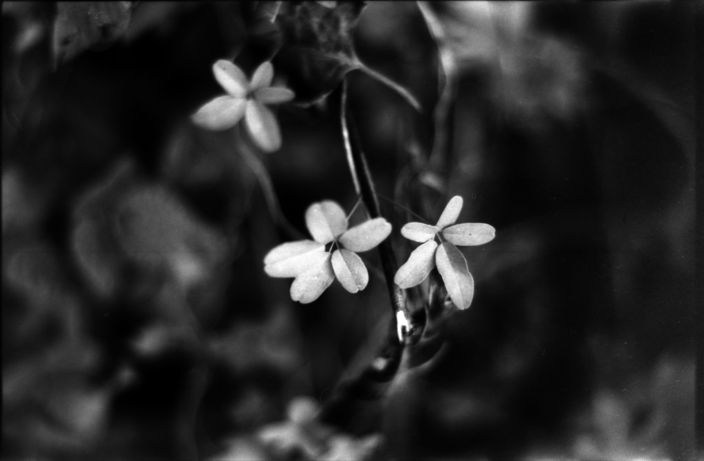 1-141012SP-retro80-037