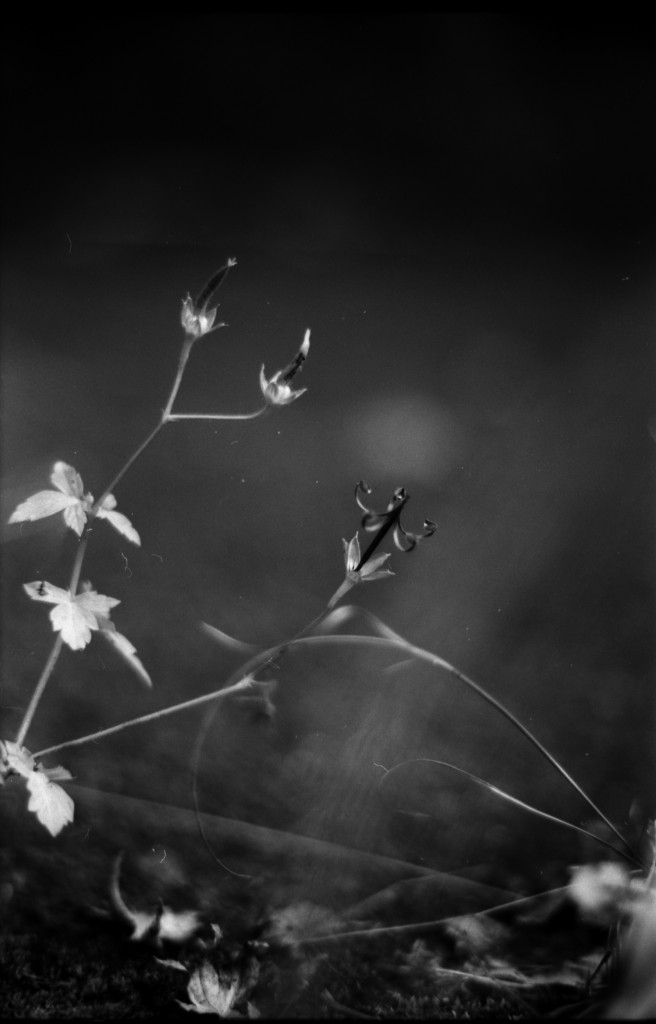 1-141012SP-retro80-2-005