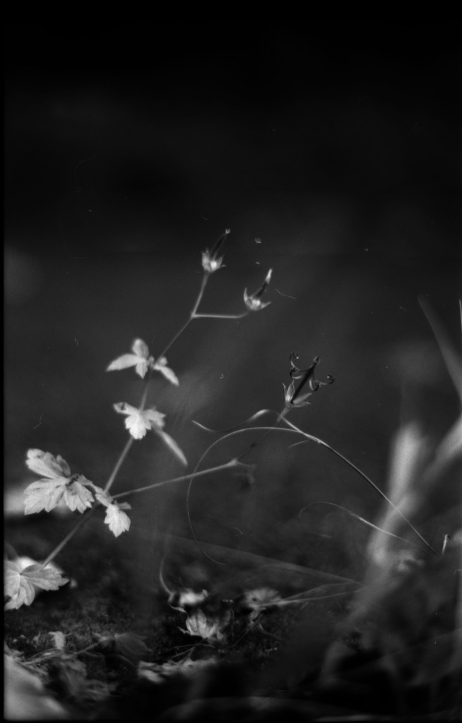 1-141012SP-retro80-2-006