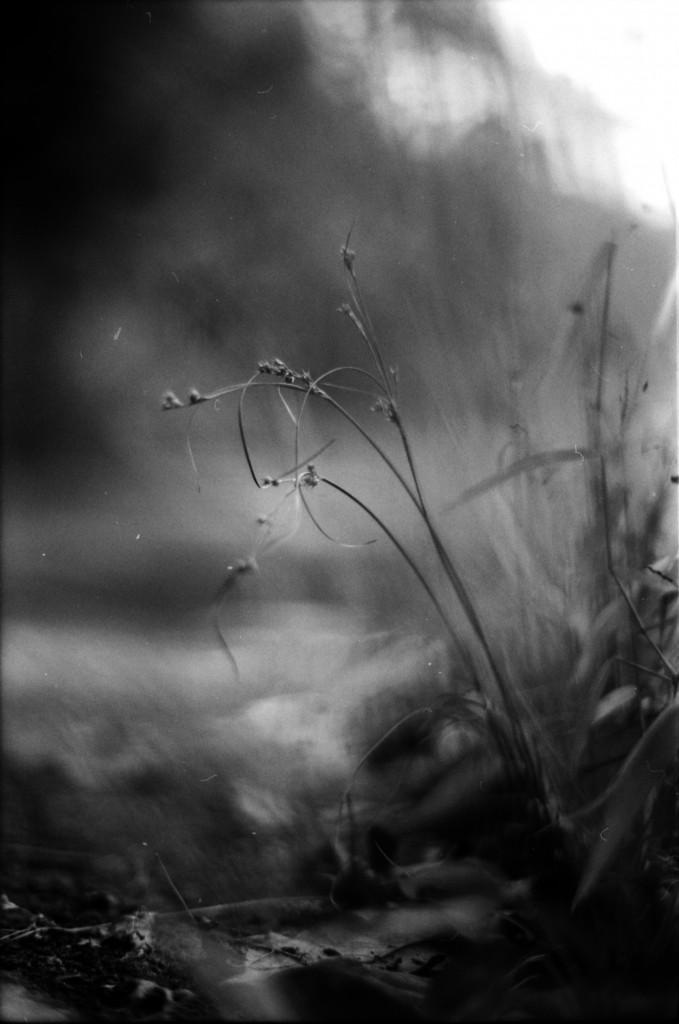 1-141012SP-retro80-2-007