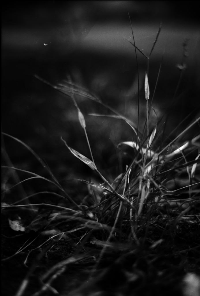 1-141012SP-retro80-2-008