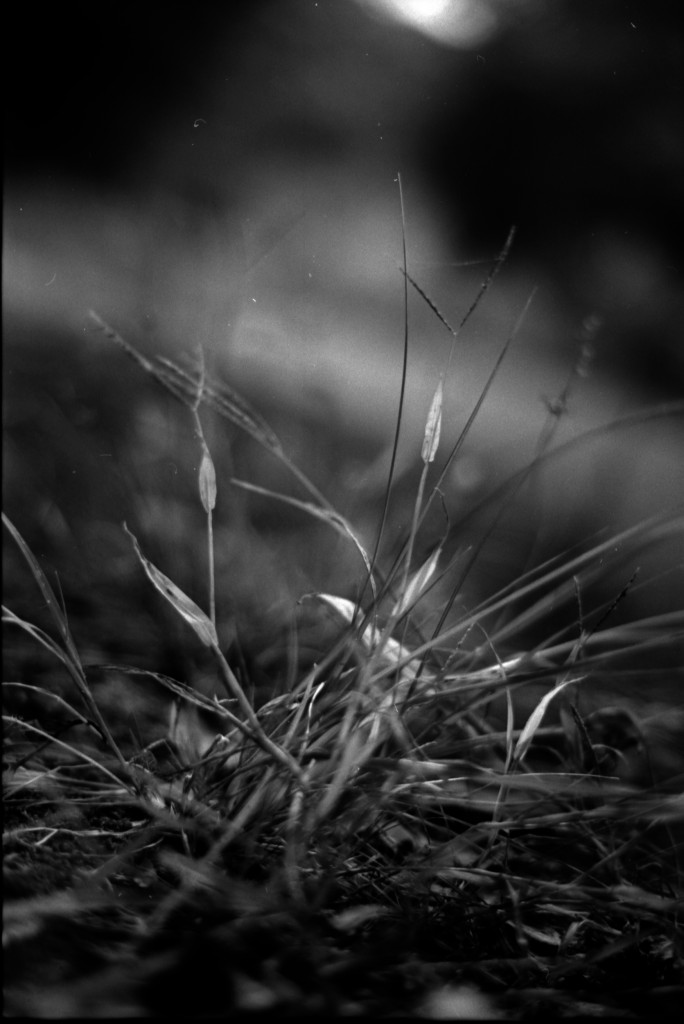 1-141012SP-retro80-2-009