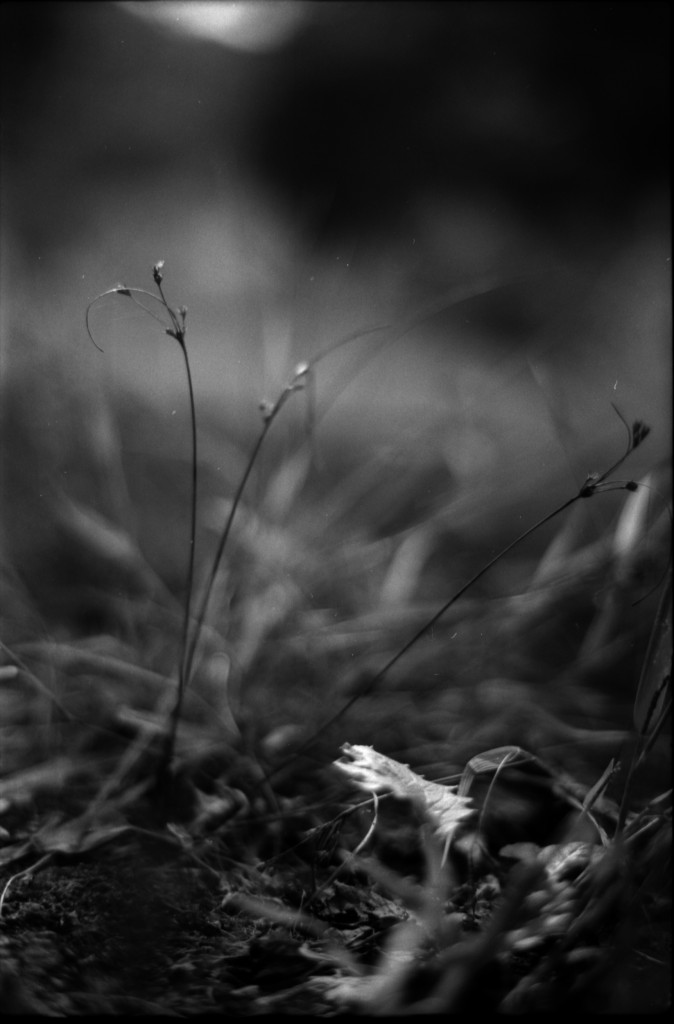 1-141012SP-retro80-2-010