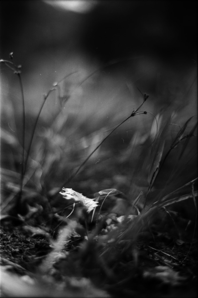 1-141012SP-retro80-2-011