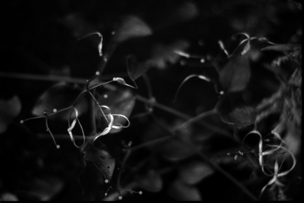 1-141012SP-retro80-2-015