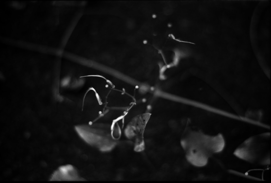 1-141012SP-retro80-2-016