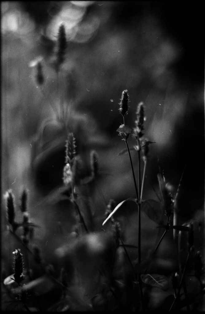 1-141012SP-retro80-2-018