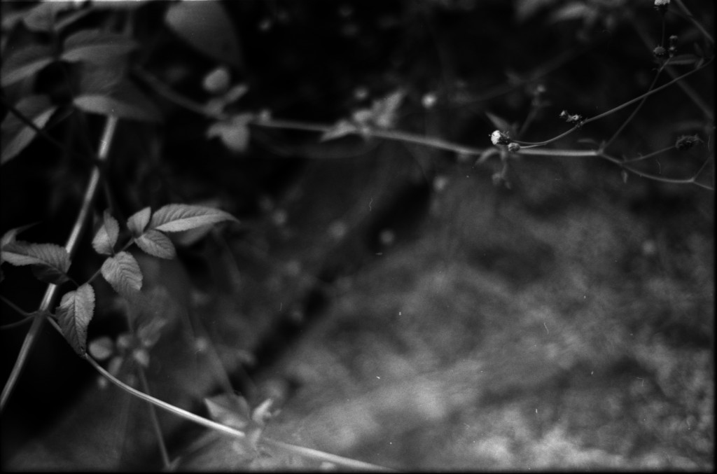 1-141012SP-retro80-2-019