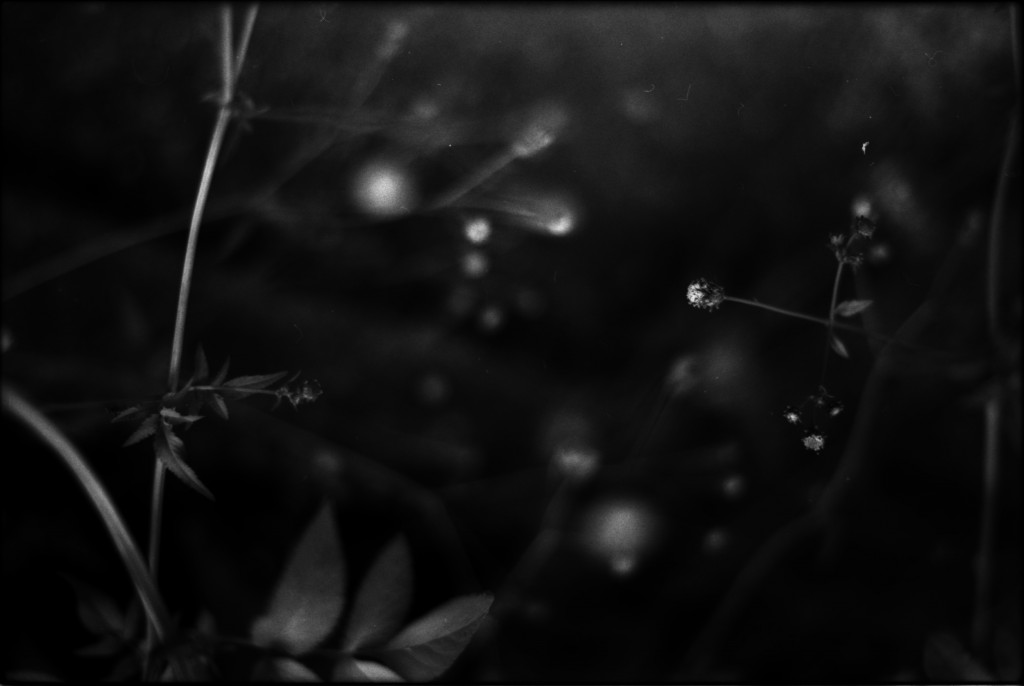 1-141012SP-retro80-2-020