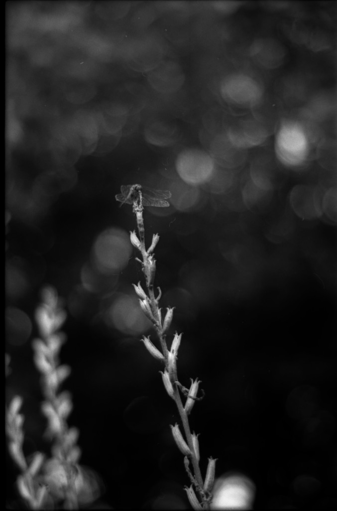 1-141012SP-retro80-2-023