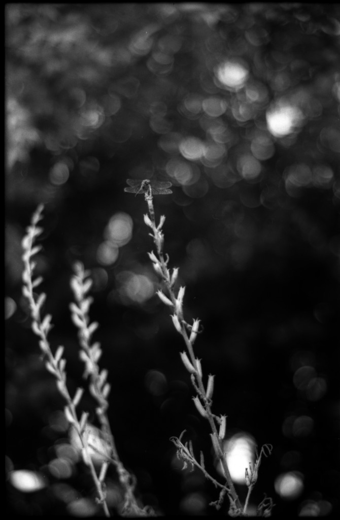 1-141012SP-retro80-2-024