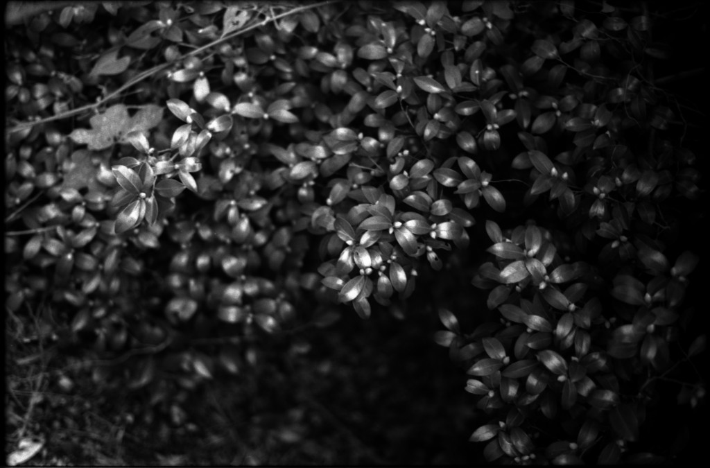 1-141012SP-retro80-2-028