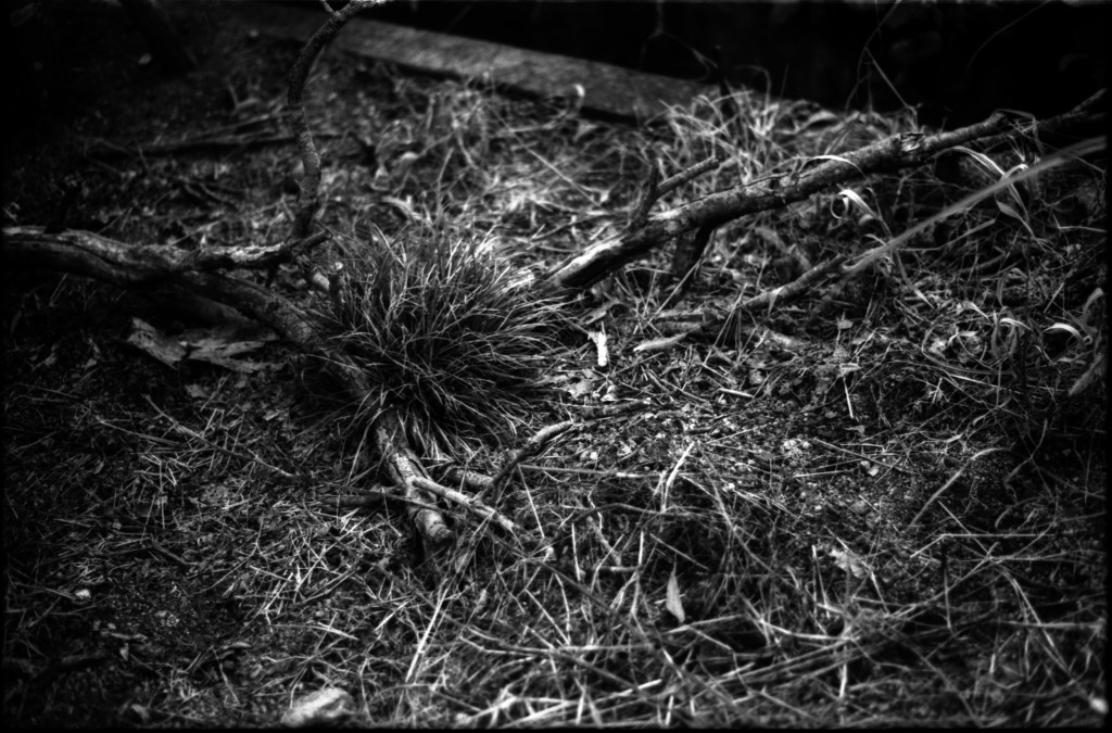 1-141012SP-retro80-2-029