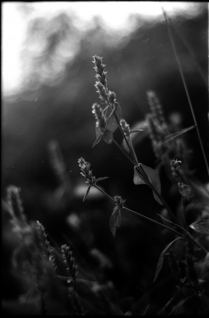 1-141012SP-retro80-2-031