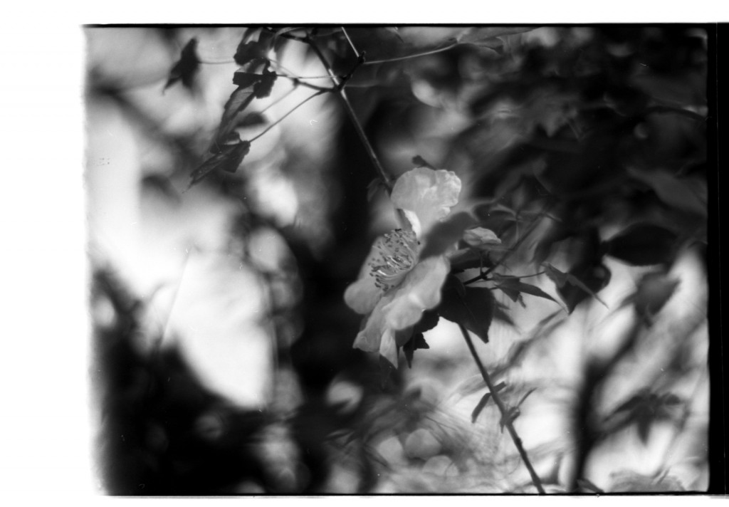 1-141103SP-retro80-1-001