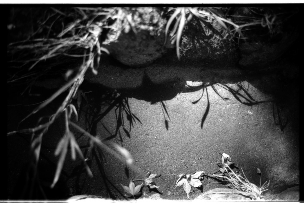 1-141103SP-retro80-1-004