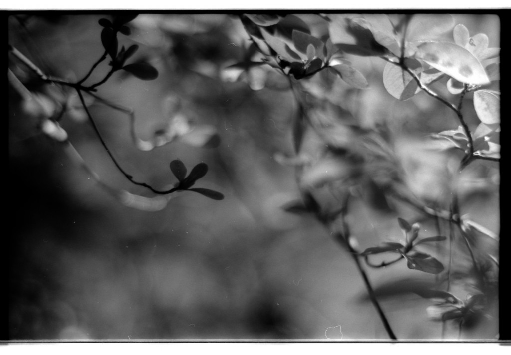 1-141103SP-retro80-1-010