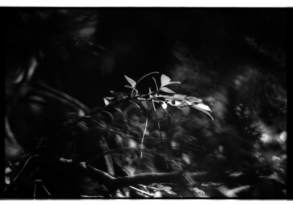 1-141103SP-retro80-1-012