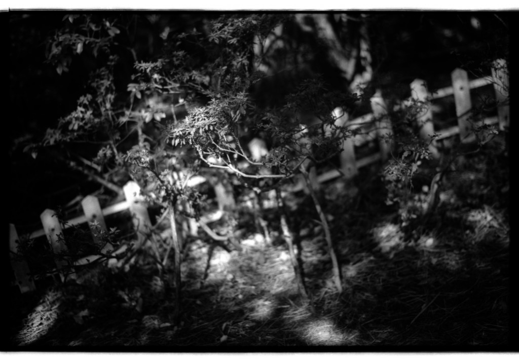 1-141103SP-retro80-1-014