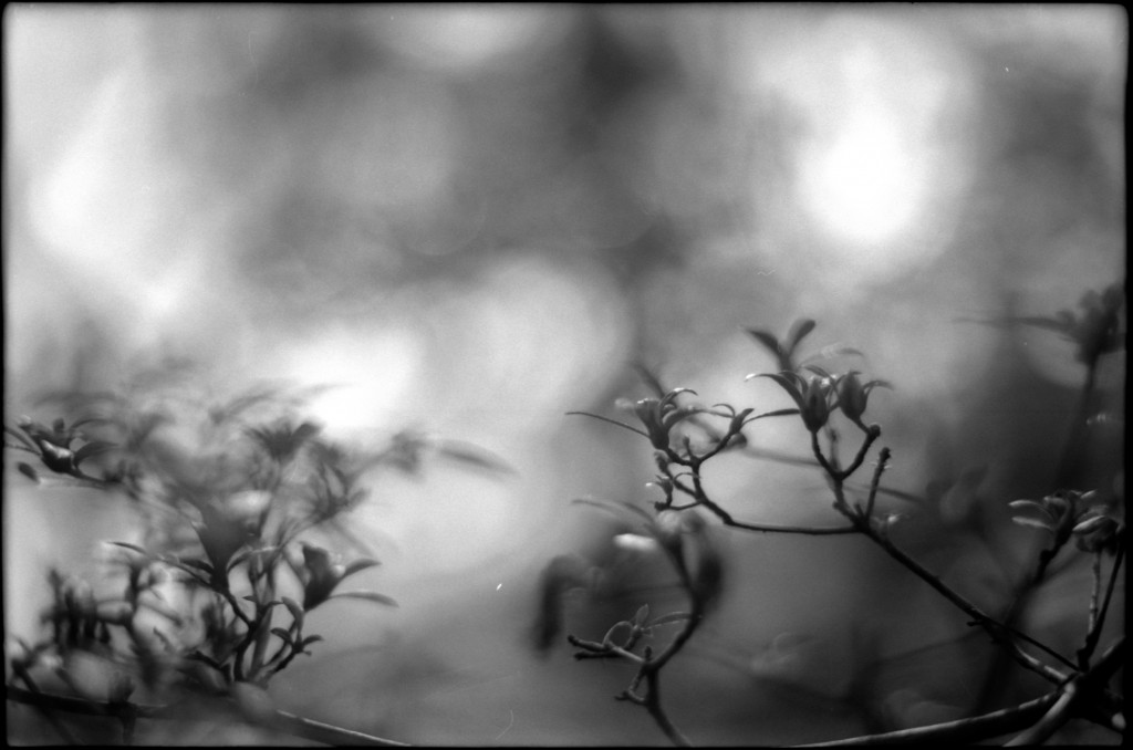 1-141103SP-retro80-1-024