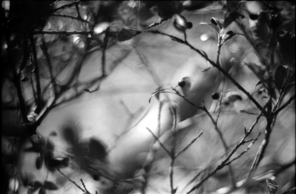 1-141103SP-retro80-1-034