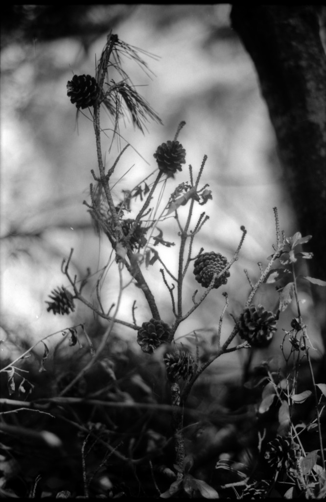 1-141103SP-retro80-1-036