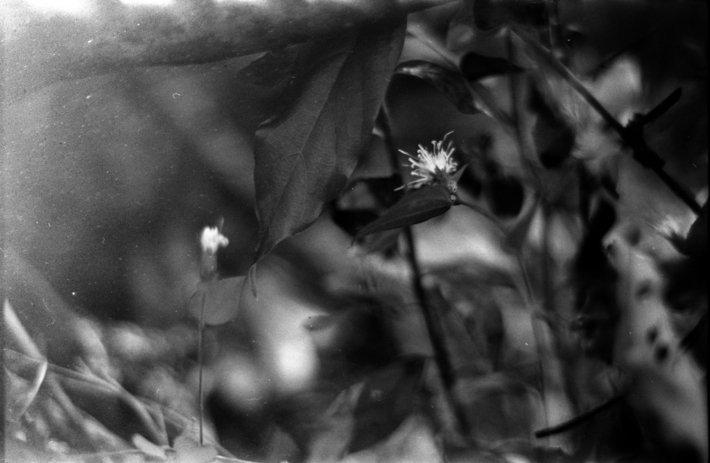 1-141103SP-retro80-2-001