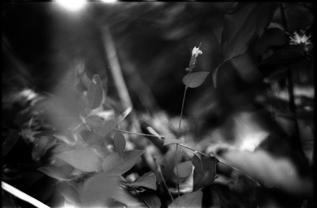 1-141103SP-retro80-2-002