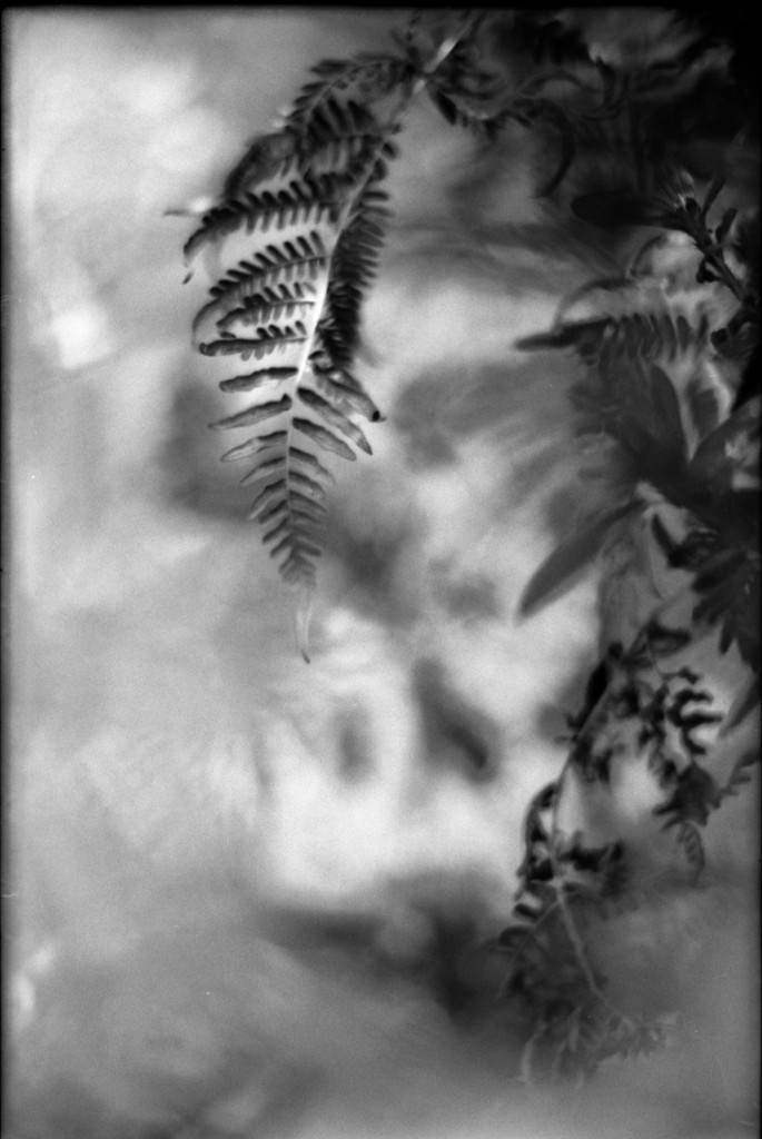 1-141103SP-retro80-2-005