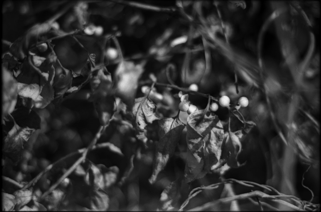 1-141103SP-retro80-2-007